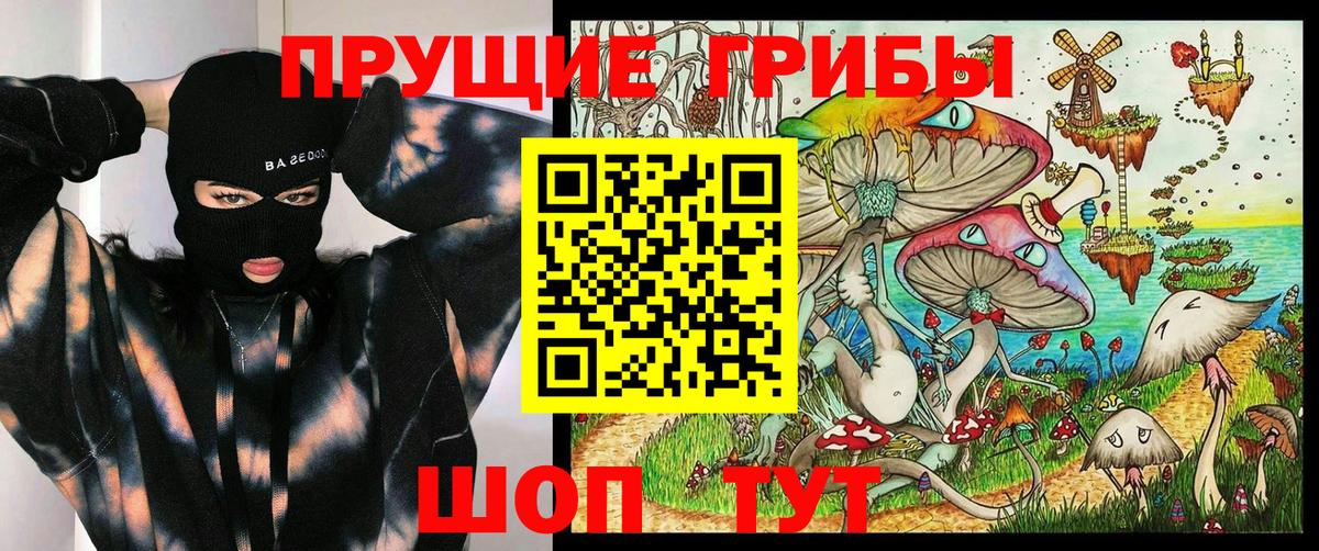 Галлюциногенные грибы Cubensis Краснознаменск